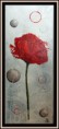 /album/les-coquelicots/coquelicot-solo-copie-jpg1/